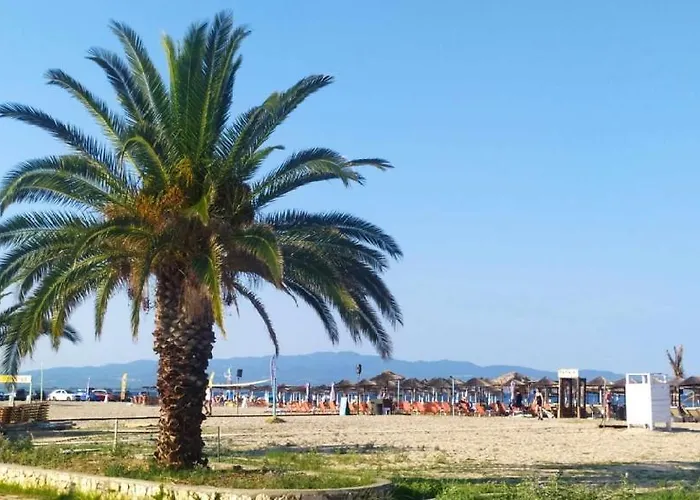 Apartamento 80m From The